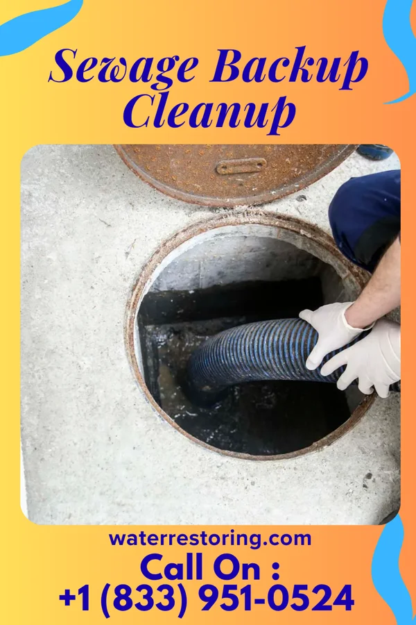 Sewage Backup Cleanup in Mecca, IN